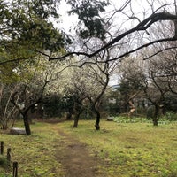 Photo taken at はけの森緑地 ２ by Mizuto K. on 2/15/2020