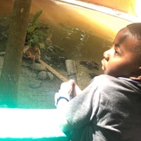 11/15/2020 tarihinde Johnika D.ziyaretçi tarafından Crococun Zoo'de çekilen fotoğraf