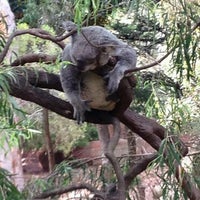 Foto scattata a Auckland Zoo da Ruth H. il 9/14/2012