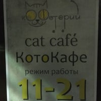 Photo taken at котокафе by Katerina R on 8/23/2016