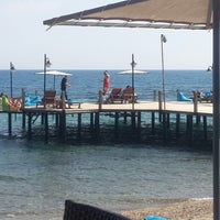 6/19/2014에 Aydın E.님이 Zenobia Beach Club에서 찍은 사진