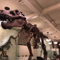 Photo taken at American Museum of Natural History by Erik G. on 12/9/2019