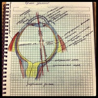 Photo taken at Кафедра Анатомии Человека by Alex on 10/9/2012