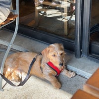 Photo taken at Le Pain Quotidien by Niku on 11/11/2019