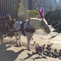 Photo taken at 30 Central Park South by Clauri on 11/4/2016