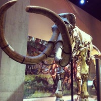 Photo taken at Perot Museum of Nature and Science by Joanna on 6/28/2013