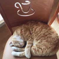 Photo taken at Orange Cat Cafe by Kathe G. on 4/21/2016