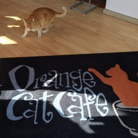 Photo taken at Orange Cat Cafe by Kathe G. on 4/20/2016