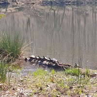Photo taken at Durant Nature Park by Matthew T. on 3/14/2024