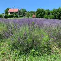 Photo taken at Bálint Borárium by Gabor on 6/28/2019