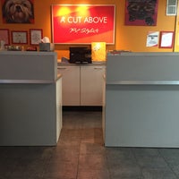 a cut above grooming salon