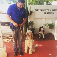 Das Foto wurde bei Master Dog Training von Maxim B. am 4/17/2016 aufgenommen