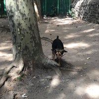Photo taken at Peter Detmold Park Dog Run by Jennifer K. on 9/21/2019