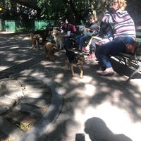 Photo taken at Peter Detmold Park Dog Run by Jennifer K. on 9/7/2019