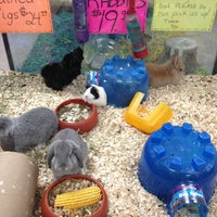 elliott's pet store