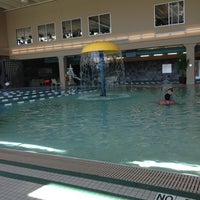 Lifetime Fitness Pool Swimming