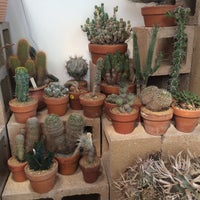 Photo taken at Cactus Store by graceface k. on 3/12/2016