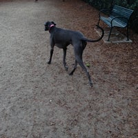 Photo taken at Longwood Park Dog Park by Jordan C. on 10/21/2012