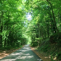 Photo taken at Belgrad Forest by gdh on 5/12/2013