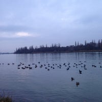 Photo taken at Большая вода by Stasya on 11/19/2014