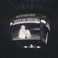 Photo taken at 136th Westminster Kennel Club Dog show by Katie K. on 2/18/2015