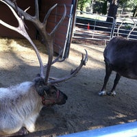 Photo taken at Reindeer by David W. on 12/10/2012