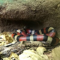 Photo taken at Reptile House by Wayne L. on 9/25/2017