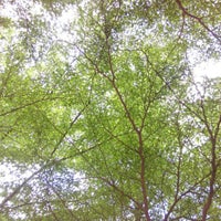 Blok P Ipg Kampus Kota Bharu