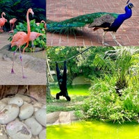7/18/2022にP. MarieがAudubon Zooで撮った写真