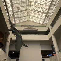 Photo taken at San Diego Natural History Museum by Pratik G. on 8/21/2022