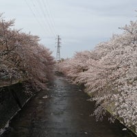 Photo taken at 恩田川沿い by にしむら on 4/1/2018
