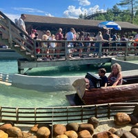 Photo taken at Knoebels Amusement Resort by Elizabeth M. on 7/9/2022