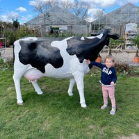 Photo taken at Finchley Nurseries by Clea R. on 4/6/2021