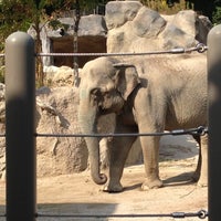福岡市動物園 Fukuoka City Zoological Garden Zoo 福岡市動物園 Fukuoka City Zoological Garden Zoo
