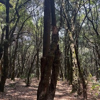 Photo taken at Parque Nacional Desierto de los Leones by Chiquyzz-Clauss O. on 5/11/2024