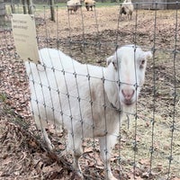 รูปภาพถ่ายที่ Queens County Farm Museum โดย Kelly เมื่อ 12/24/2023