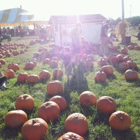 10/15/2012 tarihinde Tara C.ziyaretçi tarafından Pumpkin Town'de çekilen fotoğraf