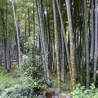 すずめのお宿緑地公園 碑文谷 碑文谷3 11 22