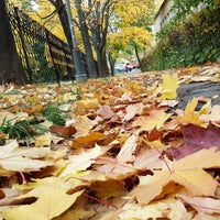 Photo taken at Музыкальная Школа им. Ф.Шуберта by Ilya K. on 10/7/2014