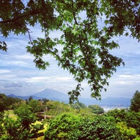 静岡市清水日本平運動公園 清水区村松30 1