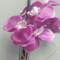 4/16/2013에 Elisa C.님이 Thai Orchid에서 찍은 사진