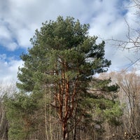 Photo taken at Природно-исторический парк «Москворецкий» by Alexey on 3/21/2020