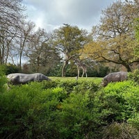 Foto diambil di Woodland Park Zoo oleh Volkan B. pada 4/7/2024