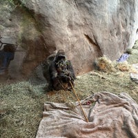 Foto tirada no(a) Woodland Park Zoo por Volkan B. em 4/21/2024