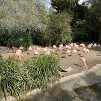 Foto tomada en Woodland Park Zoo  por Volkan B. el 4/7/2024