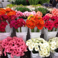 Photo taken at Los Angeles Flower Market by Michele on 5/15/2013