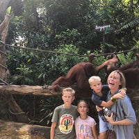 Photo taken at Primate Kingdom by Alainlicious on 7/20/2019
