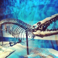 Photo taken at Perot Museum of Nature and Science by Keny D. on 1/28/2013