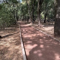 Photo taken at Parque Gandhi by Bernardo B. M. on 1/11/2024