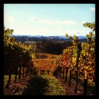Photo prise au Alexander Valley Vineyards par Clemence le11/10/2012